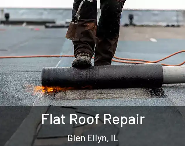 Flat Roof Repair Glen Ellyn, IL