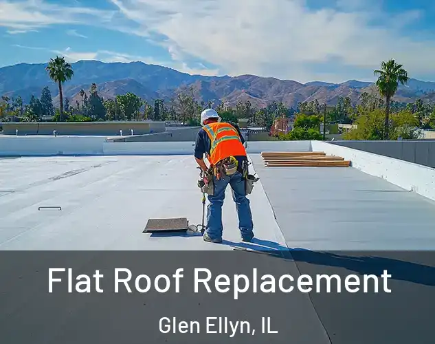  Flat Roof Replacement Glen Ellyn, IL