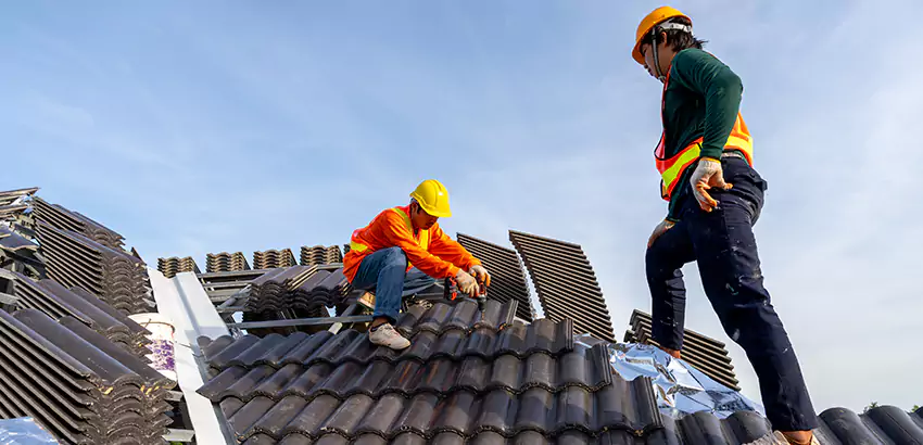 Professional Roofing Services in Glen Ellyn, IL