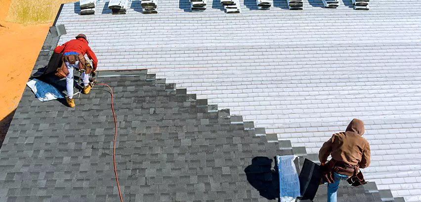Cement Tile Roof Restoration in Glen Ellyn