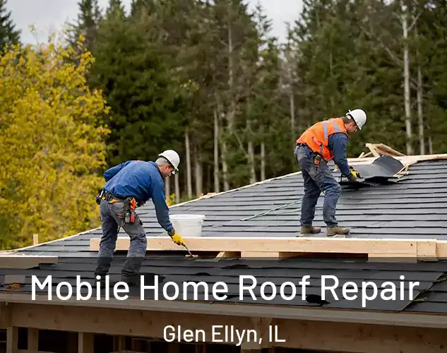  Mobile Home Roof Repair Glen Ellyn, IL