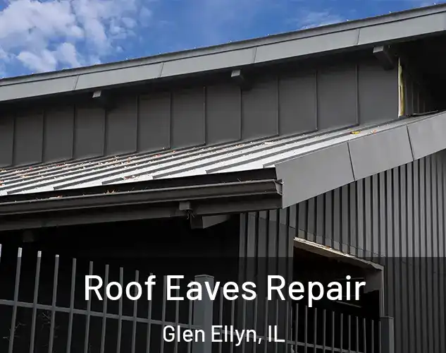  Roof Eaves Repair Glen Ellyn, IL
