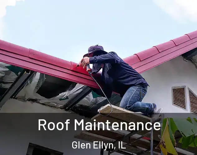  Roof Maintenance Glen Ellyn, IL