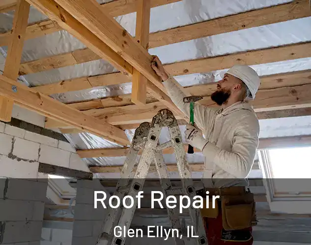  Roof Repair Glen Ellyn, IL