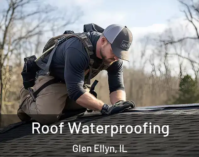  Roof Waterproofing Glen Ellyn, IL
