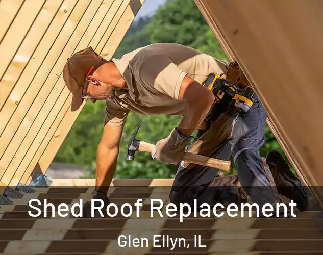  Shed Roof Replacement Glen Ellyn, IL
