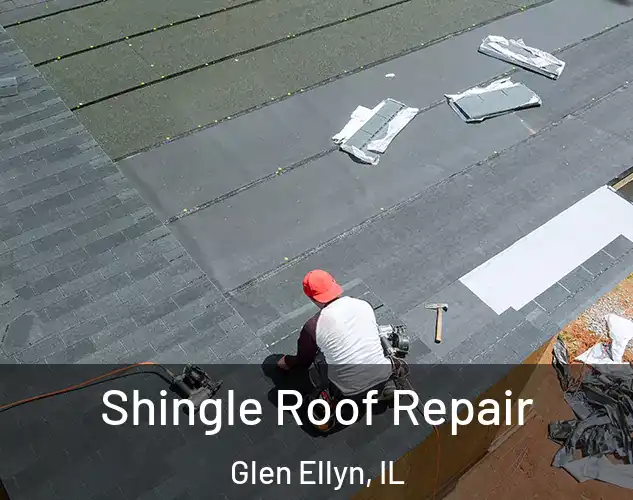  Shingle Roof Repair Glen Ellyn, IL