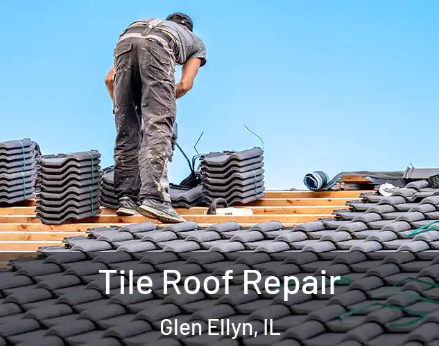  Tile Roof Repair Glen Ellyn, IL