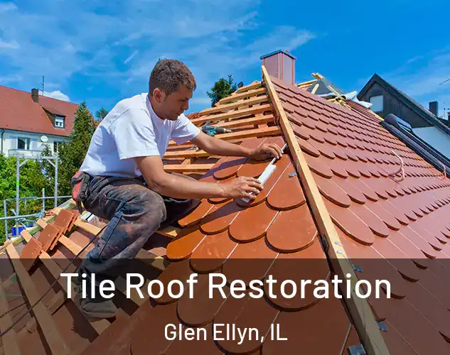  Tile Roof Restoration Glen Ellyn, IL